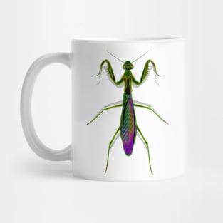 Praying Mantis Mug